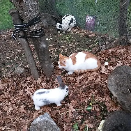 Haus Margret * Stummerberg