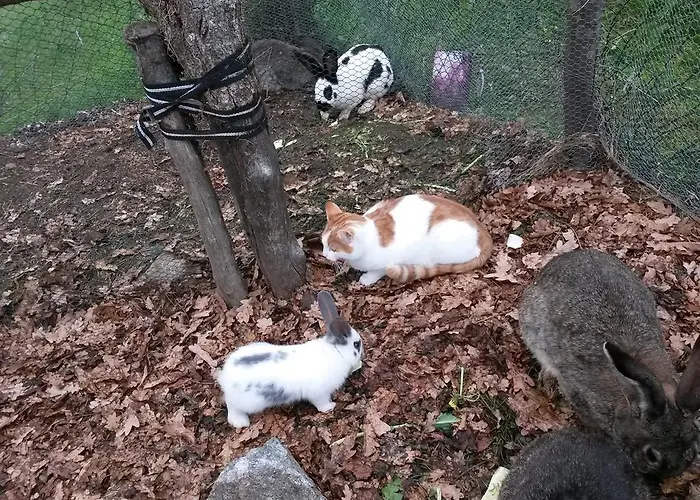 Haus Margret * Stummerberg