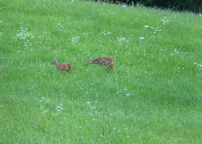 Haus Margret Apartmán